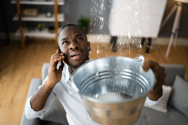 Best Sewage Cleanup and Restoration in West Siloam Springs, OK